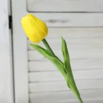 sg-11134201-23020-cjpkd96yn2nvdd@resize_w450_nl.webp